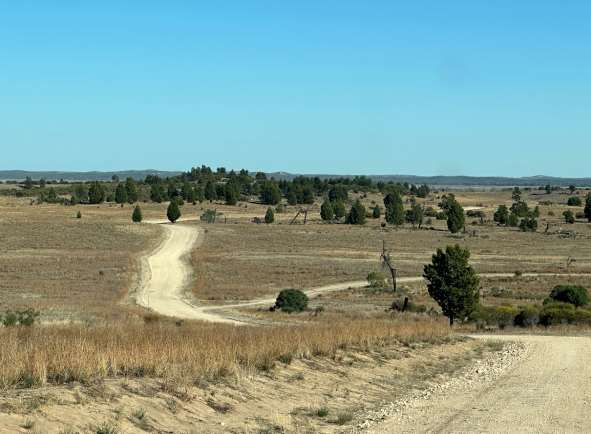 Dirt road - Pine Plains, Wyperfeld National Park