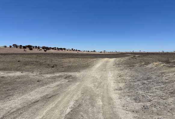 Burnt track - Pine Plains, Wyperfeld National Park